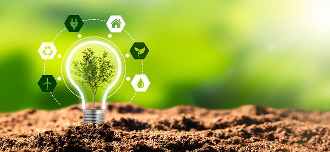 Environmental Conservation