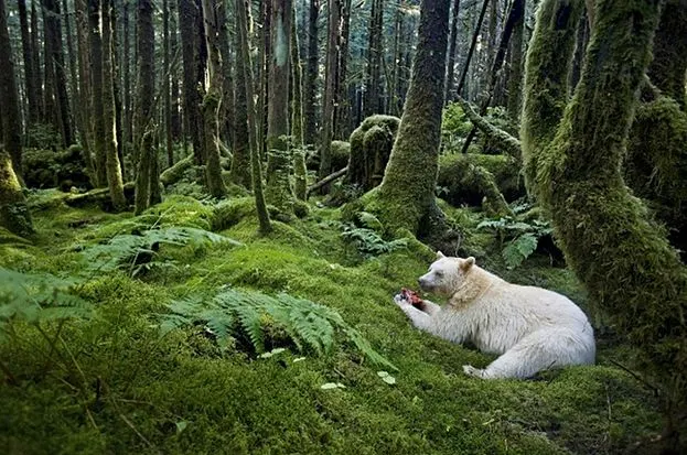 Biodiversity conservation in protected area